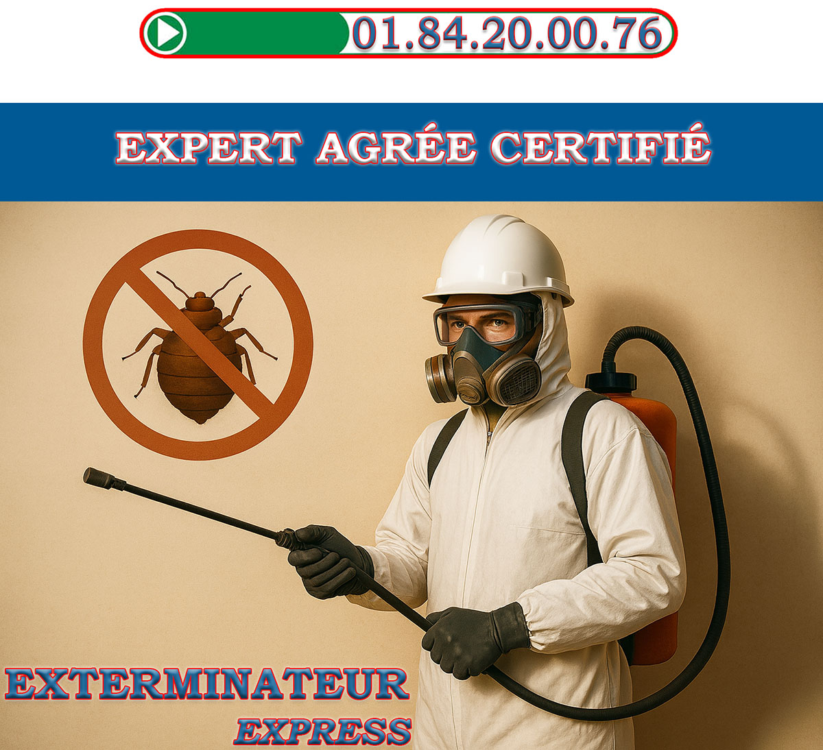 Punaises de Lit Alfortville